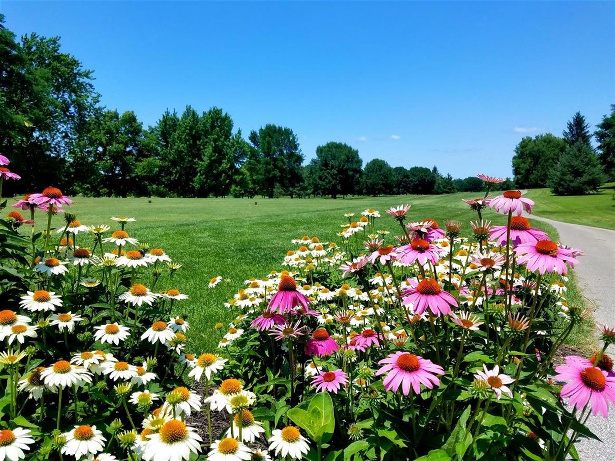 Native flowers and prairie plants throughout the course!